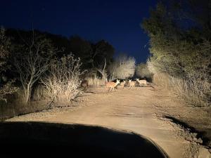 Stone cottage in Haarties