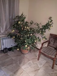 My Byurakan - Aghtsʼkʼ