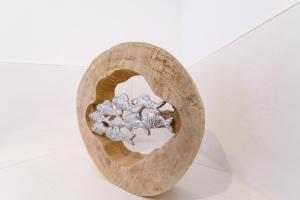 Suite Strandrose NEU