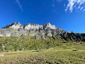 Chalets Chalet du grand cerf : photos des chambres