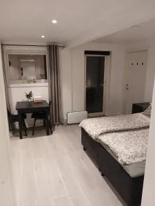 studio apartment 24 sqm - Tiller