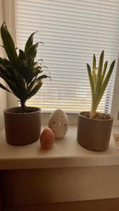 Rezidencia pod Zámkom Bojnice Apartmán Luna