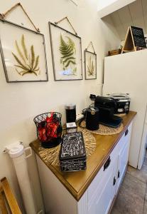 DOMMO ASULETTA img22