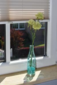 Ferienwohnung Sonnenblume