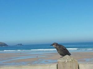 Headland Hideaway, Fistral Beach Newquay, Cornwall