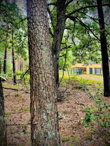 Dobrostan Domek w Naturze