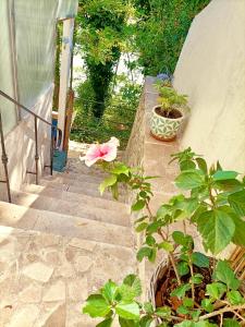 Appartements O Fil de la Durance : photos des chambres