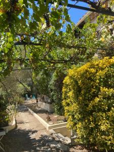 Appartements Evasion en Provence Bas de Villa avec Jardin & Vignes, Soleil & Fraicheur : photos des chambres