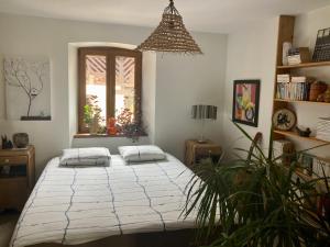 Appartements Cocon a colombage alsacien 