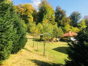 Бунгала Дара