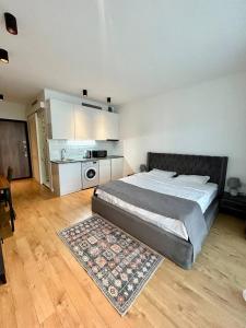 Swimming Paradise Apartments