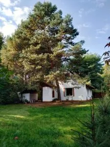 Dom letniskowy w Borach Tucholskich - Stara Rzeka