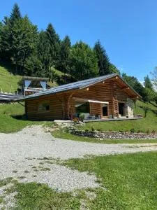 Cabana Riky House - Statjunea Borşa