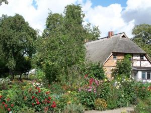 Ferienwohnung Birnengarten am Pfarrgarten Starkow