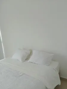 Jonatan apt - Rousseau