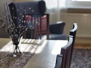 Ostsee-Ferienhaus-Richter