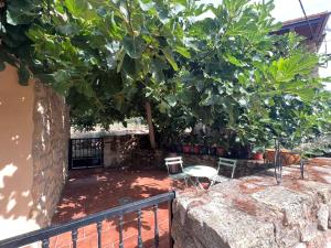 Casa Rural Alegría