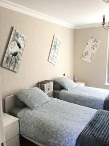 Sejours chez l'habitant Couleur Framboise : photos des chambres