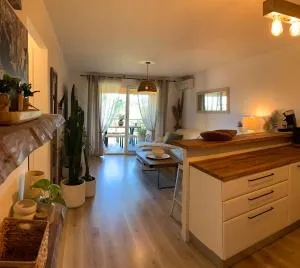 Bel appartement proche aéroport - Ortale