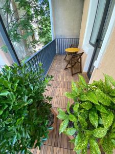 Villa with rooftop hot tub