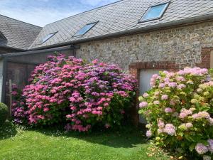 Maisons de vacances Proche d-Etretat, la Campagne a la Mer : photos des chambres