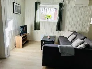 Bright and nice downtown apartment - Эйер