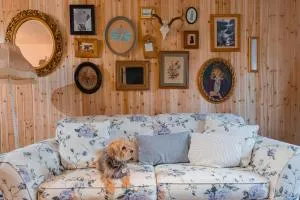 Cabin on Hunter Mtn Seasonal Pool Access w Panoramic Views Hike Swim Fish Recharge - Maplecrest