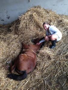 Les petits appartements de Beaumont