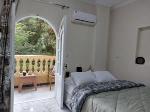 Chez lami sphinx