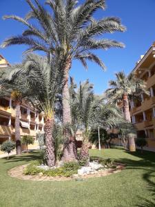 penthouse, beach and pools