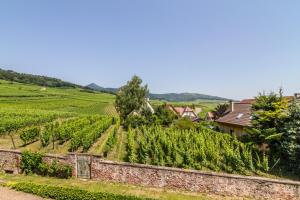 Maisons de vacances Maison Gite Au Tonnelier : photos des chambres