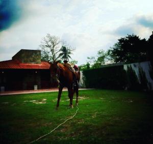 Los Fundadores Estancia Ecológica