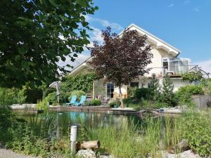 Garden Paradise Bled Apartments - garden, pond and castle view