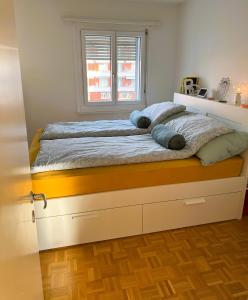 Basel River Apartment