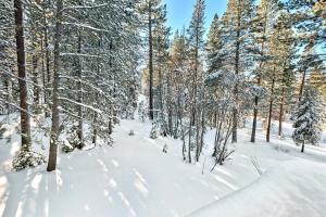 Bear Haus - Sledding At Cabin - Forest Views - Foosball