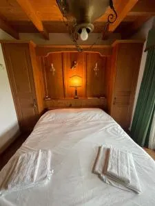 Luxury panoramic apartment Plan de Corones - 布拉伊埃斯