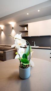 The Corner Bergamo Elegant Apartments