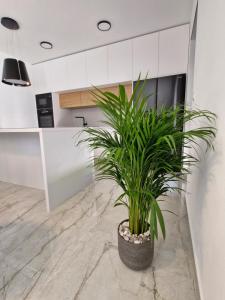 MORE - Luxury Apartment With Private Pool