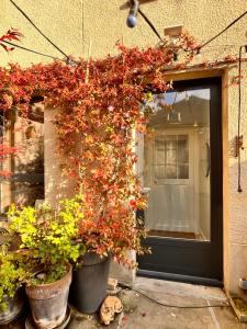 Appartements Appartement Bulles de Lumiere : Appartement 3 Chambres