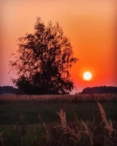 Ferienwohnung SCHWALBENNEST - 德雷施维茨