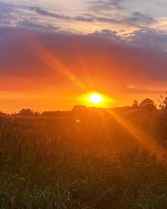 Ferienwohnung SCHWALBENNEST