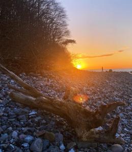 Ferienwohnung SCHWALBENNEST