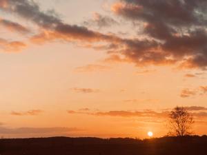 Ferienwohnung SCHWALBENNEST