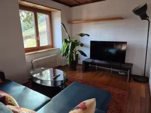 Bel appartement dans une maison villagesoise - Les Avants