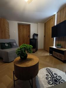 Apartament Zacisze w Białym Dunajcu, Sauna, Kominek, Bezpłatny parking