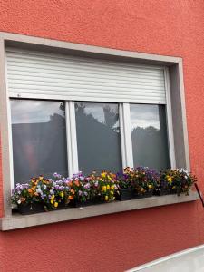 Sejours chez l'habitant Couleur Framboise : photos des chambres