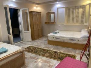 الاسكندرية