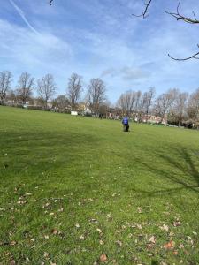 Charming Home in Central Cambridge