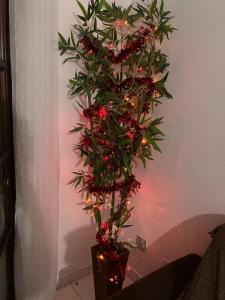 Guarujá-Apart familiar! 8min Apé Da Praia Enseadas