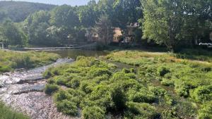 Appartements 5min baignade en riviere animaux accepte toit terrasse : photos des chambres